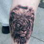 Lion by Matyas Csiga Halasz @ Dublin Ink