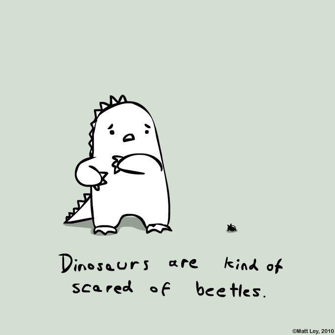 Dinosaur Facts - Beetles