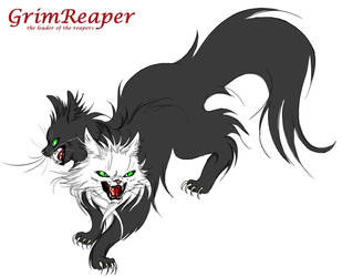 grimreaper the cat