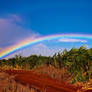 Maui Under the Rainbow