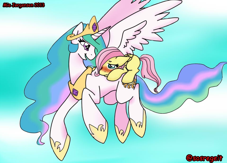 Celestia and Fluttershy searching the sky