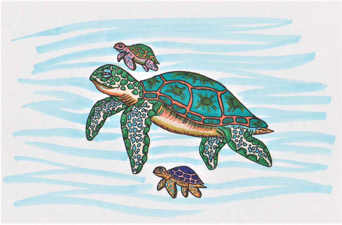 Turtle March Deviantart Three Rocks Turtles by CyanideMilkshake on DeviantArt