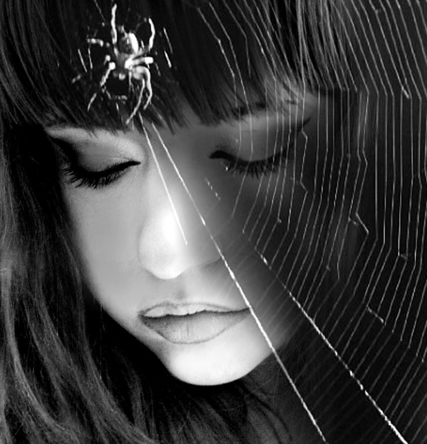 ....through your web of desires....