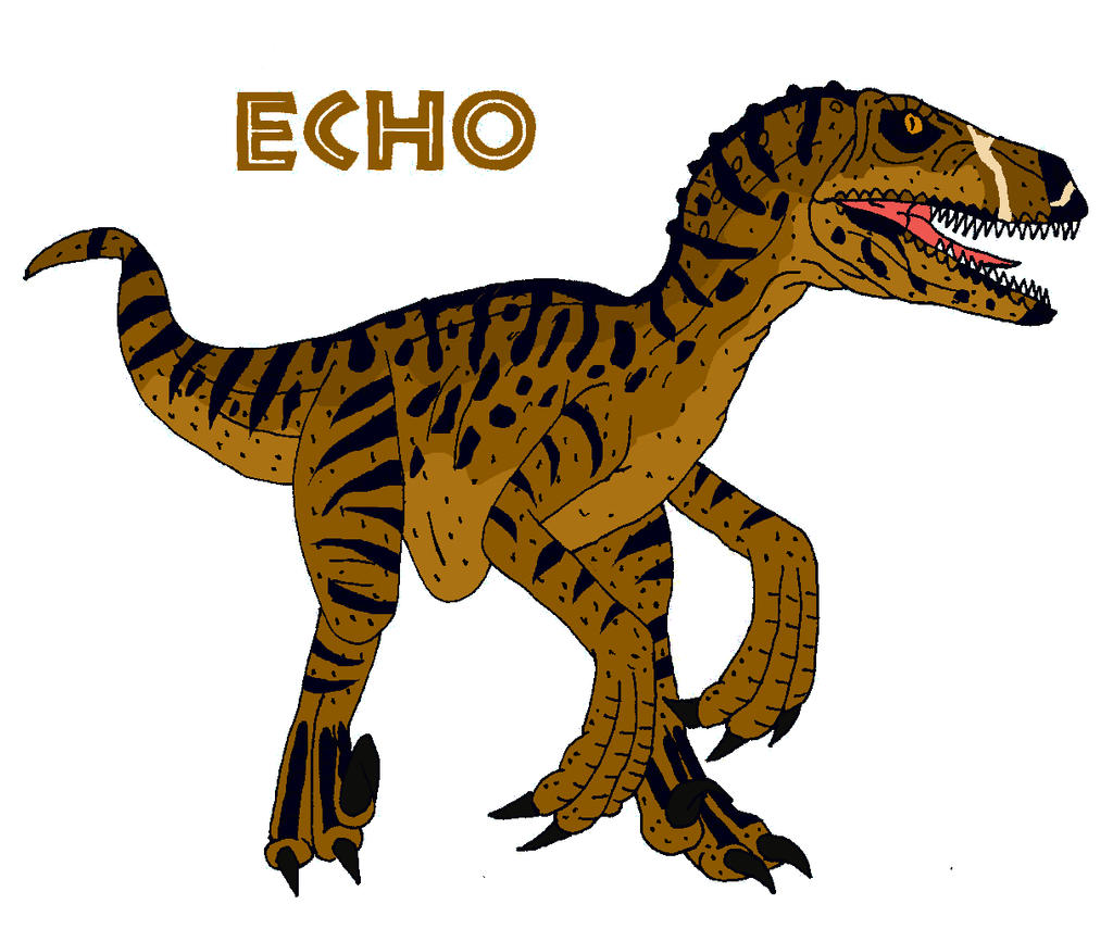Raptor Echo by TheOneTrueSirCharles on DeviantArt