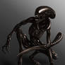 Xenomorph