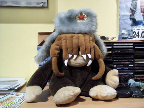 Russian Headcrab