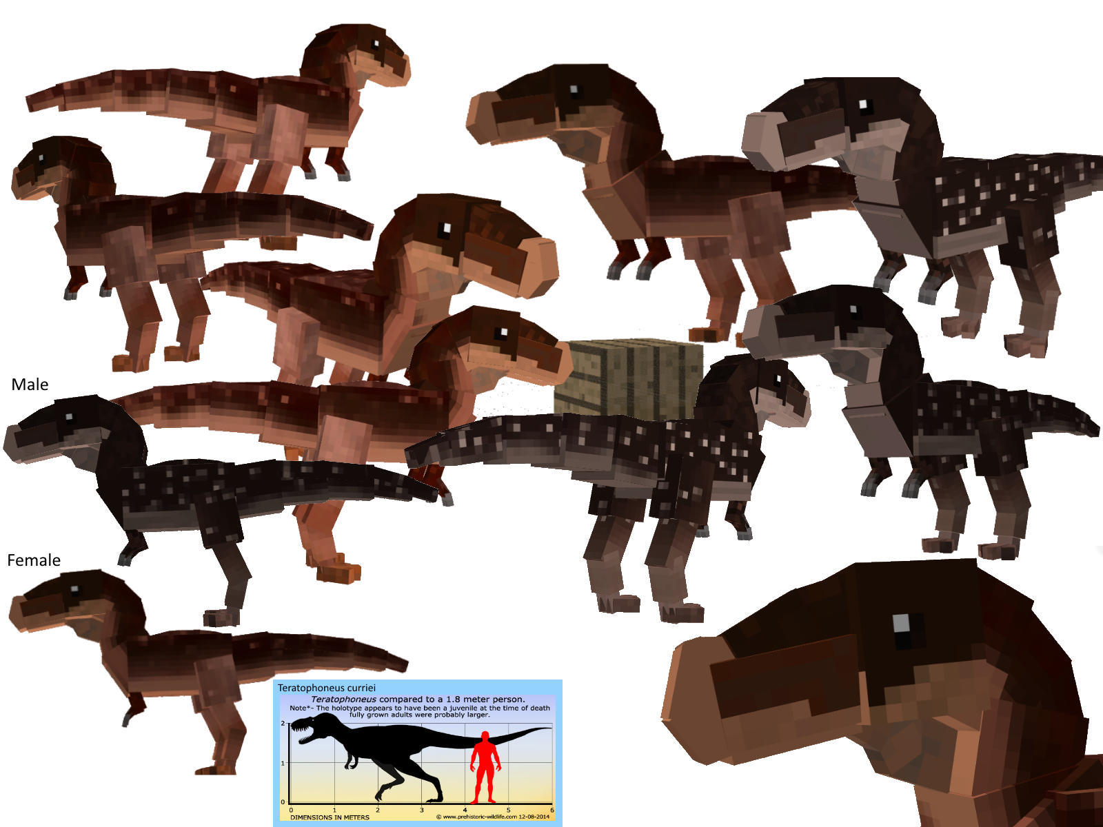 Teratophoneus RefModel by Fcomega121 on DeviantArt Teratophoneus RefModel by Fcomega121 on DeviantArt