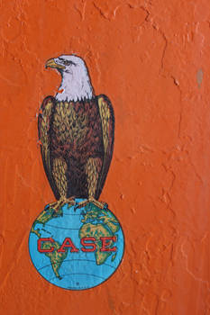 Case Eagle