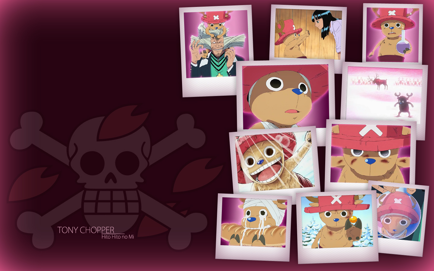 Tony Chopper Hito Hito no Mi