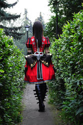 Alice: Madness Returns Cosplay