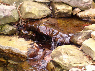Water and Rocks