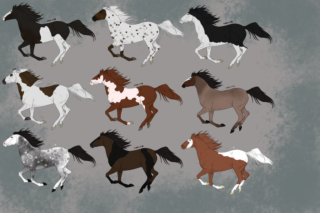 OTA CLOSED HORSE ADOPTS [5/9]