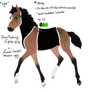 8049 Padro foal design