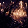 Dark Forest