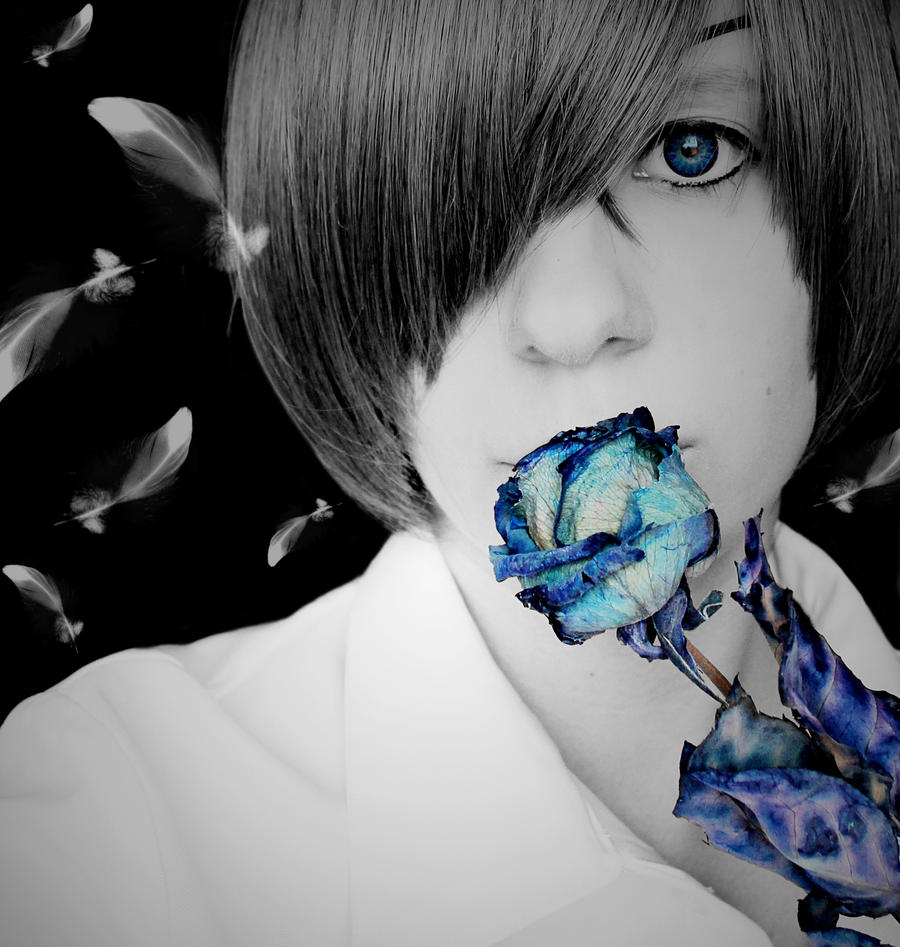 Blue Rose