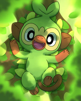 Grooky