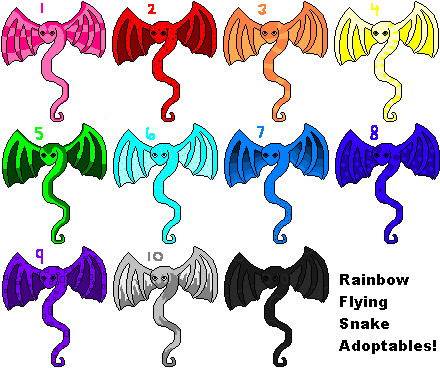 Rainbow Flying Snake Adopts