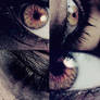 Eclipse.