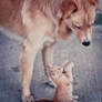 David and Goliath.