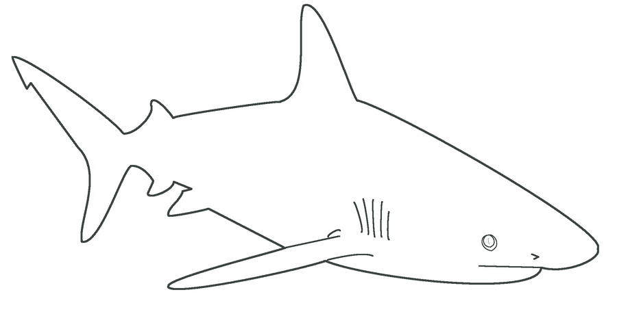 free-shark-template-by-dragonlove12345-on-deviantart