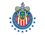 :escudo de chivas: