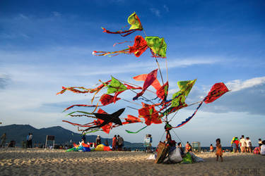 Kites on the beach