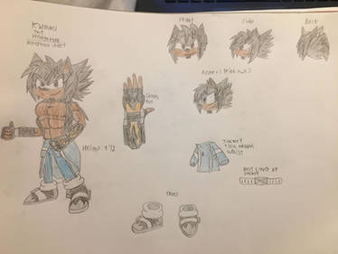 Kwami the Hedgehog 2020 redesign reference sheet