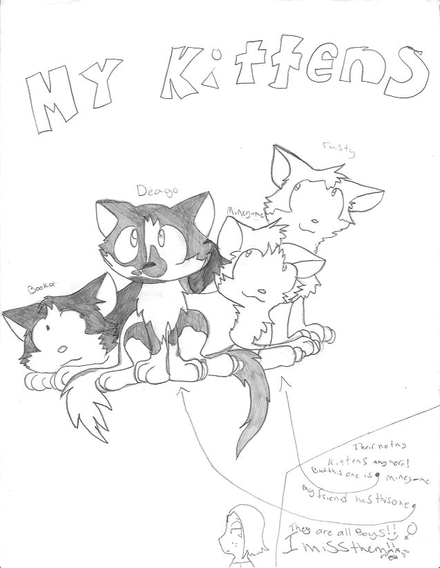 Hollys Kittens by Lilly-poo on DeviantArt