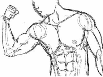 sketchbook pro muscles