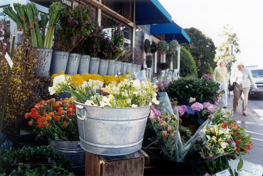 The Flower Shop