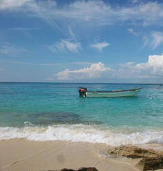 floating in the sea