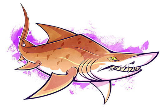 SHARKWEEK: Sand Tiger Shark