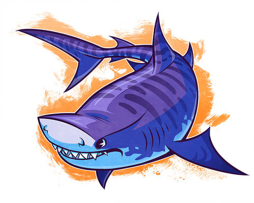 SHARKWEEK: Tiger Shark