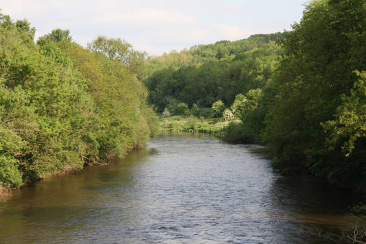 The River Severn 2