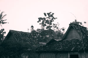 Kethek Ogleng #16 in Sulang Rembang