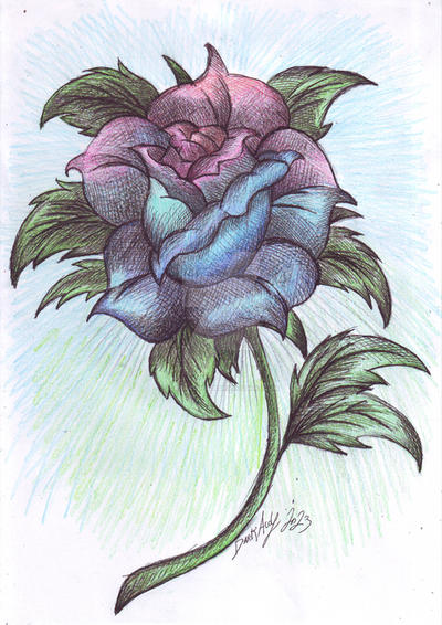Rose by DarkAudi1728 on DeviantArt