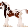 Boucle Foal 384 || Sofia