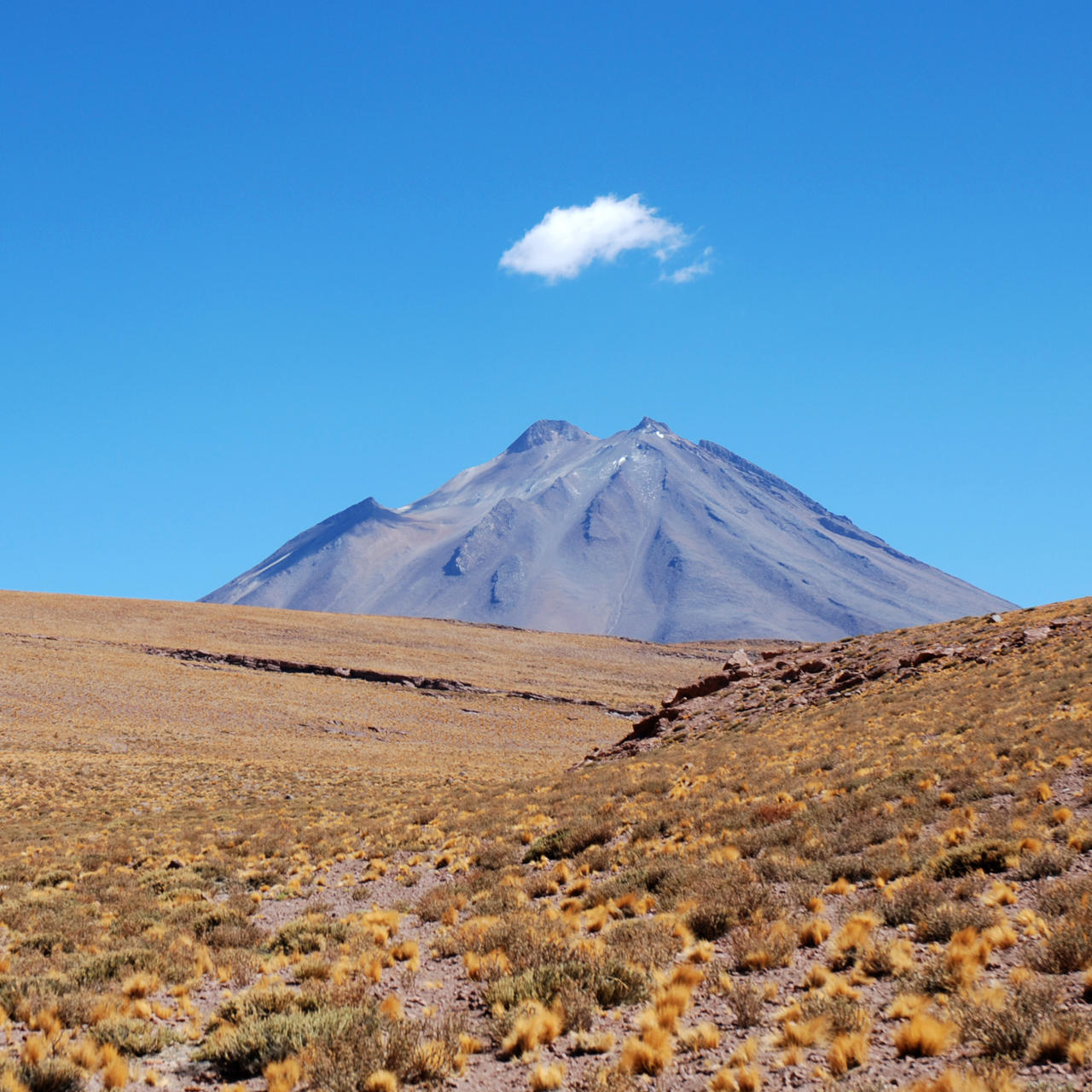 Cerro Miniques