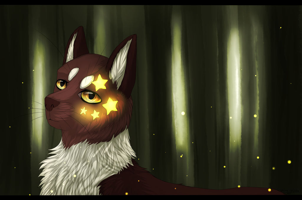 Star Cat Color Star cat by Vektorich on DeviantArt