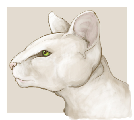 cat face side view drawing