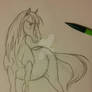 Stallion Sketch 