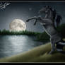 Moonlight stallion