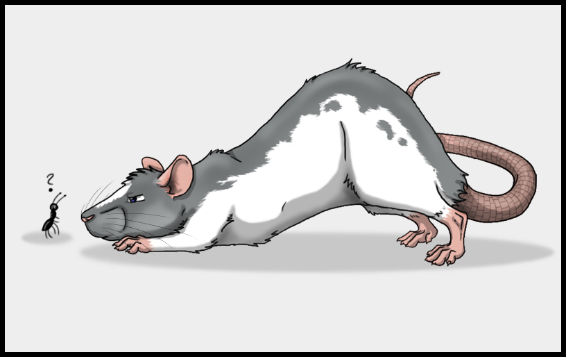 Cartoon rat and speed paint by SweGizmo on DeviantArt
