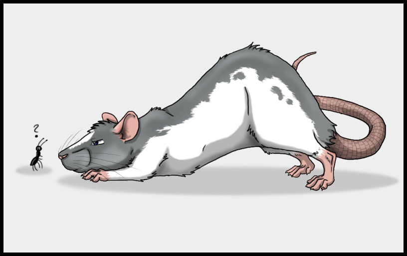 Cartoon rat and speed paint by SweGizmo on DeviantArt Cartoon rat and speed paint by SweGizmo on DeviantArt
