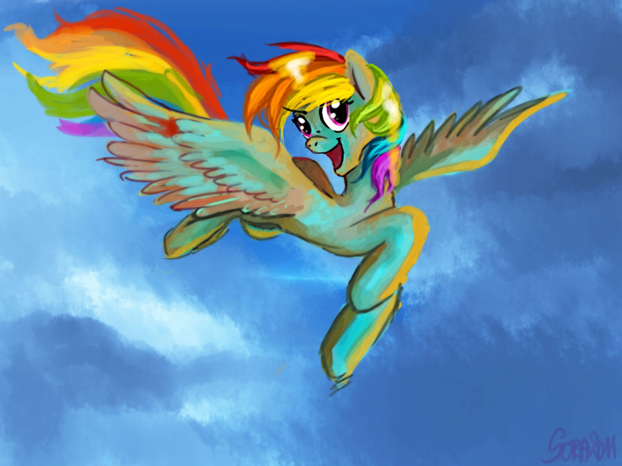 Dashie