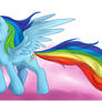 Dash's Rainbow