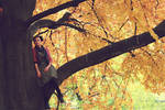 Last leaf by TPol