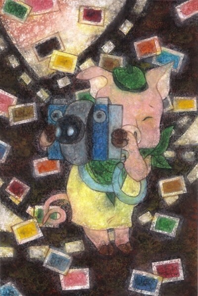 Photographer pig