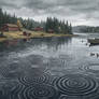Lake Anomaly
