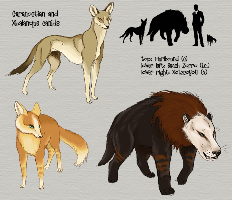 Canids Caranoctian canids by Viergacht on DeviantArt